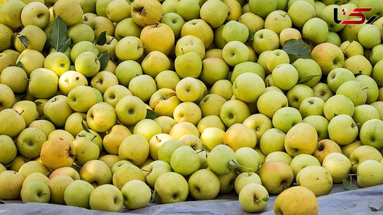 شرایط واردات موز در قبال صادرات سیب از بازارچه‌های مرزی اعلام شد + سند