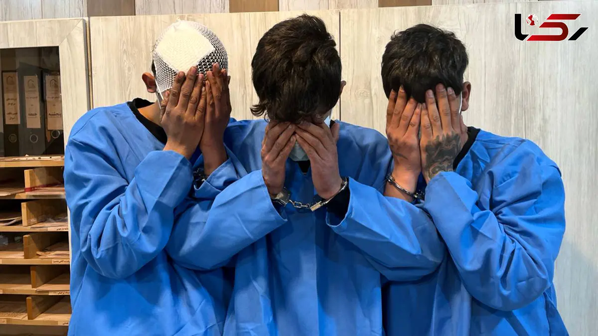 فیلم / جزئیات جدید از سرقت موبایل دختر دانشجو در خیابان ولنجک