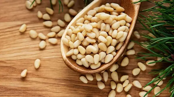 یار مهربان کبد می دانید کیست؟