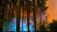 آتش‌ سوزی هولناک در جنگل‌ های برلین + تصاویر 