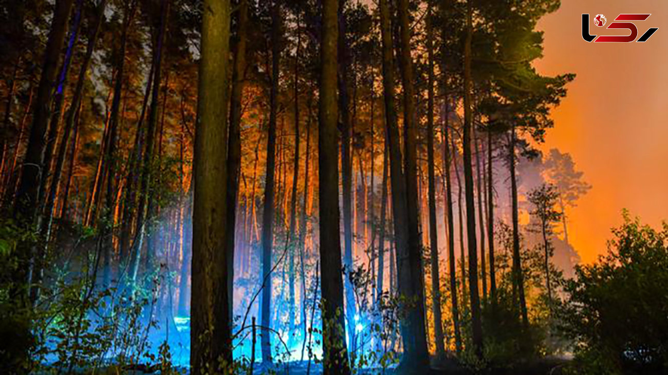 آتش‌ سوزی هولناک در جنگل‌ های برلین + تصاویر 