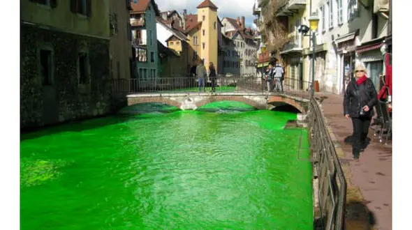 دلایلی که باعث سبز شدن آب رودخانه های فرانسه شد
