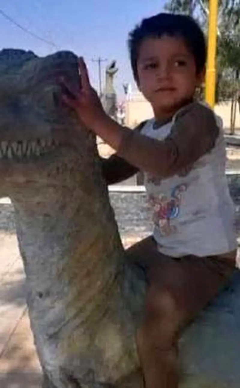 مرگ جگر سوز و همزمان 3 کودک در  صحنه ای دردناک 