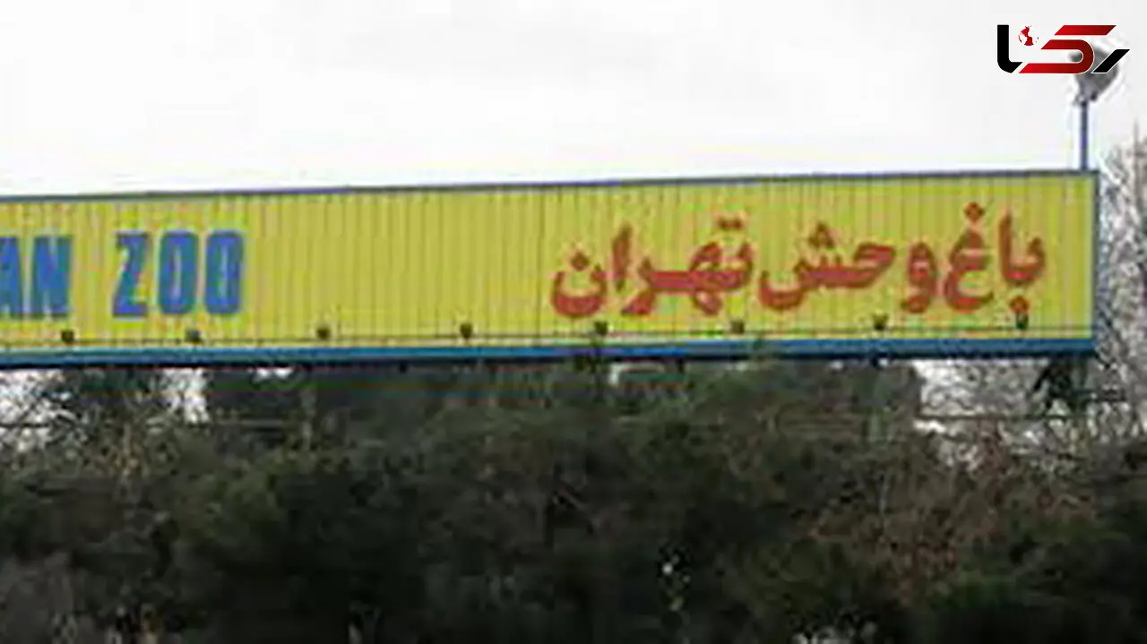 بازگشایی باغ وحش ارم از فردا+ جزئیات