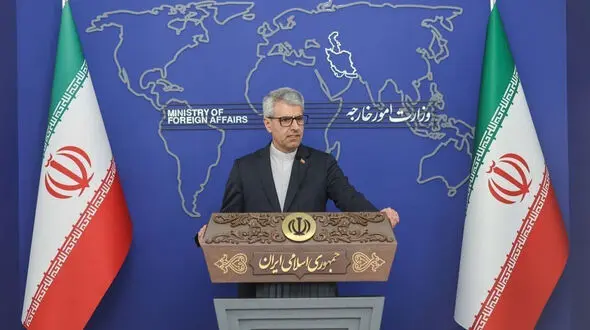 سخنگوی وزارت امور خارجه: در بین زخمی هایی که ملاقات کردم، جوان آرایشگر، راننده اسنپ و یک جانباز جنگی را دیدم