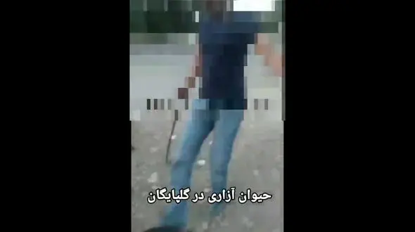 فیلم / این سگ آزار باید بازداشت شود ! / گستاخی در برابر اعتراض مردم گلپایگان !