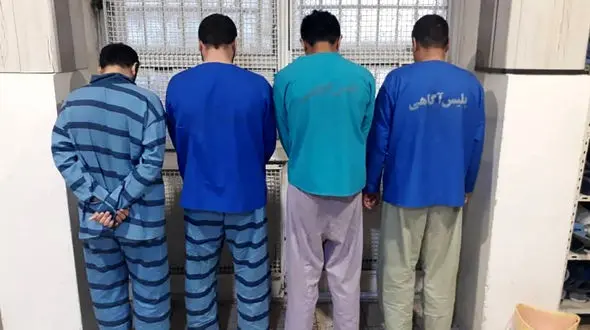 بازداشت دزدانی که در نقش پلیس وارد خانه های می شدند / میلیاردی به جیب زدند