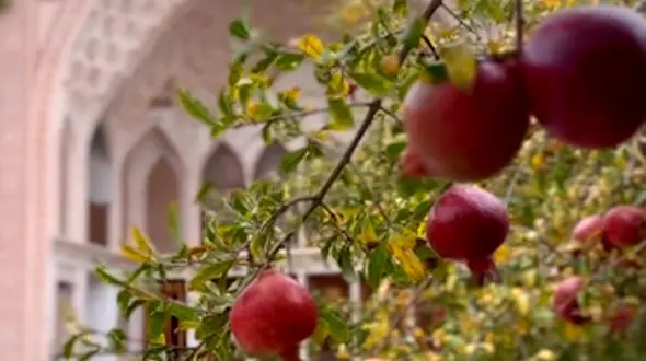 از خانه عامری ها در کاشان تا برداشت  نگین قرمز خراسان جنوبی