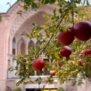 از خانه عامری ها در کاشان تا برداشت  نگین قرمز خراسان جنوبی