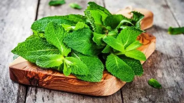 خوراکی‌های طبیعی که حالت تهوع را از بین می‌برند