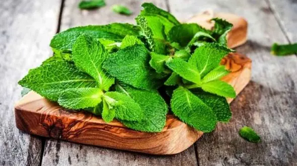 خوراکی‌های طبیعی که حالت تهوع را از بین می‌برند