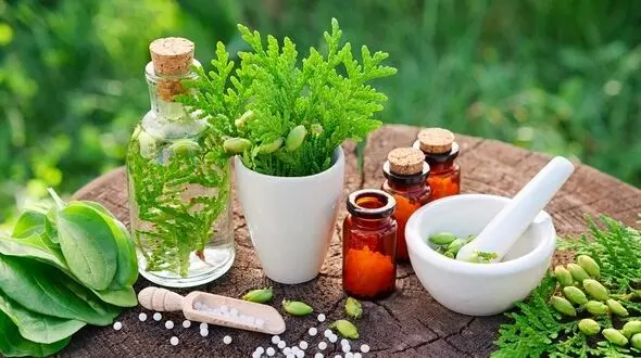 درمان کم پشتی موی سر با یک گیاه شگفت انگیز
