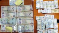 دستگیری 10 عضو باند دزدان در دبی