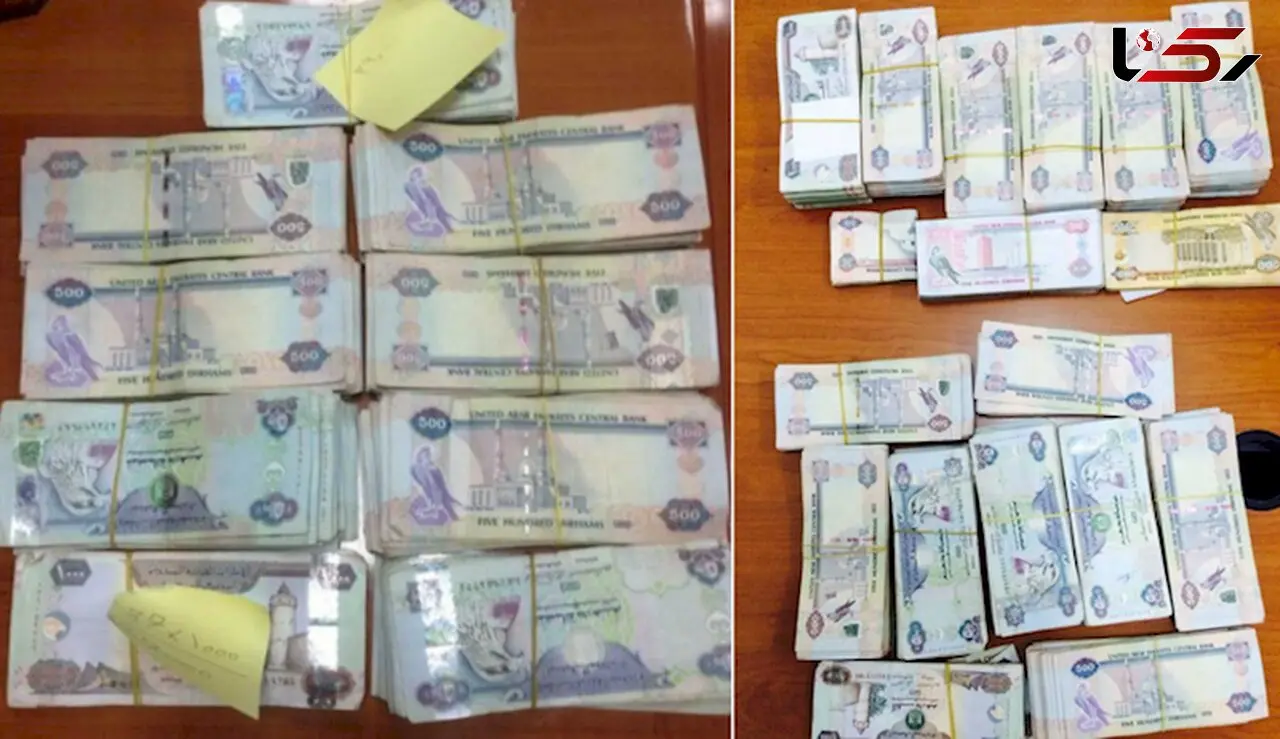 دستگیری 10 عضو باند دزدان در دبی
