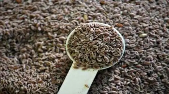 درمان سوزش سردل با ماده ای گیاهی