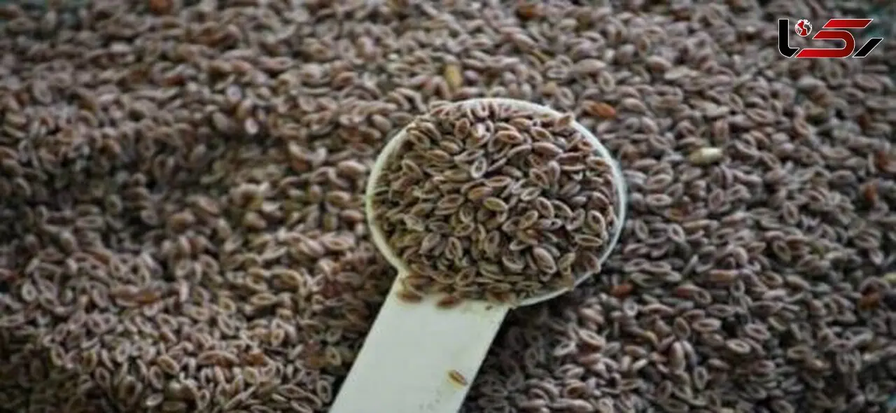 درمان سوزش سردل با ماده ای گیاهی