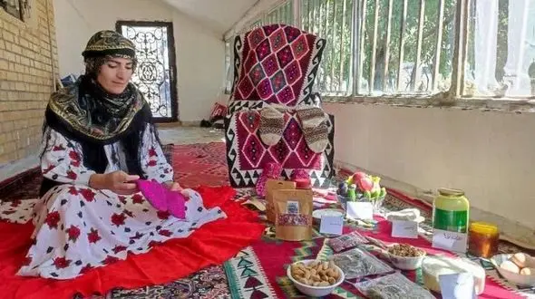 بانوی اردبیلی موفق به دریافت عنوان «زن نمونه ملی» شد