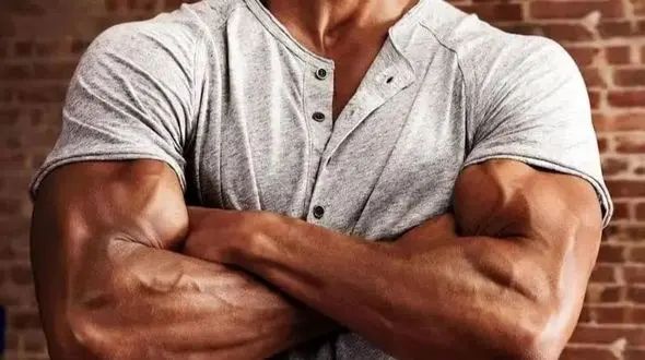 قوی‌ترین ماهیچه بدن انسان چیست؟ دانستنی‌های جالب درباره قدرت ماهیچه‌ها