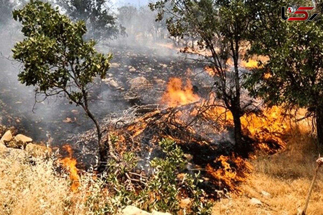 امین آباد فیروزکوه در آتش سوخت