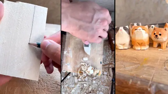 انواع گربه ها را با چوب بساز + فیلم