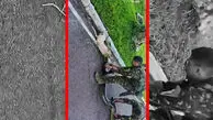 فیلم نجات قهرمانانه سگ از چنگال مار آناکوندا