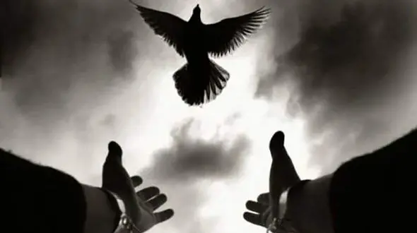 این 7 زندانی ایرانی نوروز 1400 خانه هستند / از باکو خبر رسید