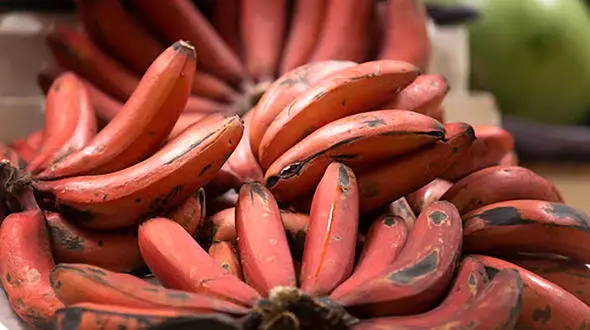 موز قرمز با 4 برابر قیمت موز زرد به بازار آمد !