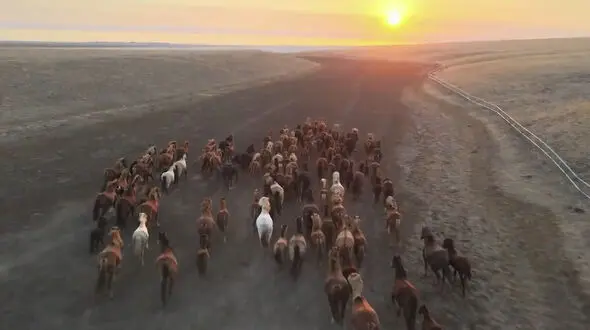 ببینید / صبح را با نماهنگ بی کلام آرامش بخش آغاز کنیم 