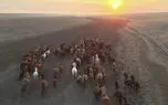 ببینید / صبح را با نماهنگ بی کلام آرامش بخش آغاز کنیم 