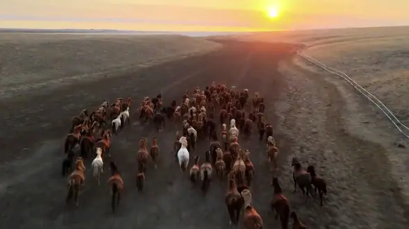 ببینید / صبح را با نماهنگ بی کلام آرامش بخش آغاز کنیم 