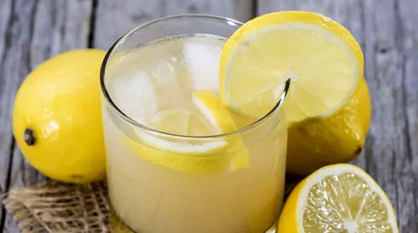 طرز تهیه چند شربت مخصوص تابستان 