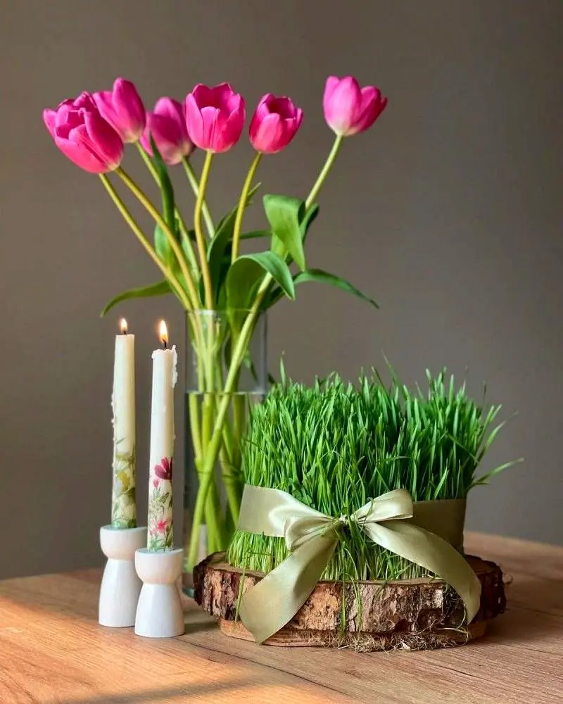 مدل سبزه عید ۱۴۰۵ | بهترین ایده های خلاقانه ساده و جذاب مدل سبزه عید ۱۴۰۵ مخصوص عروس هایی که میخوان سفره هفت سین شیکی داشته باشن!