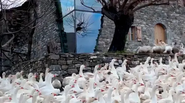 از زیبایی هزارچم تا شبه جزیره بالکان