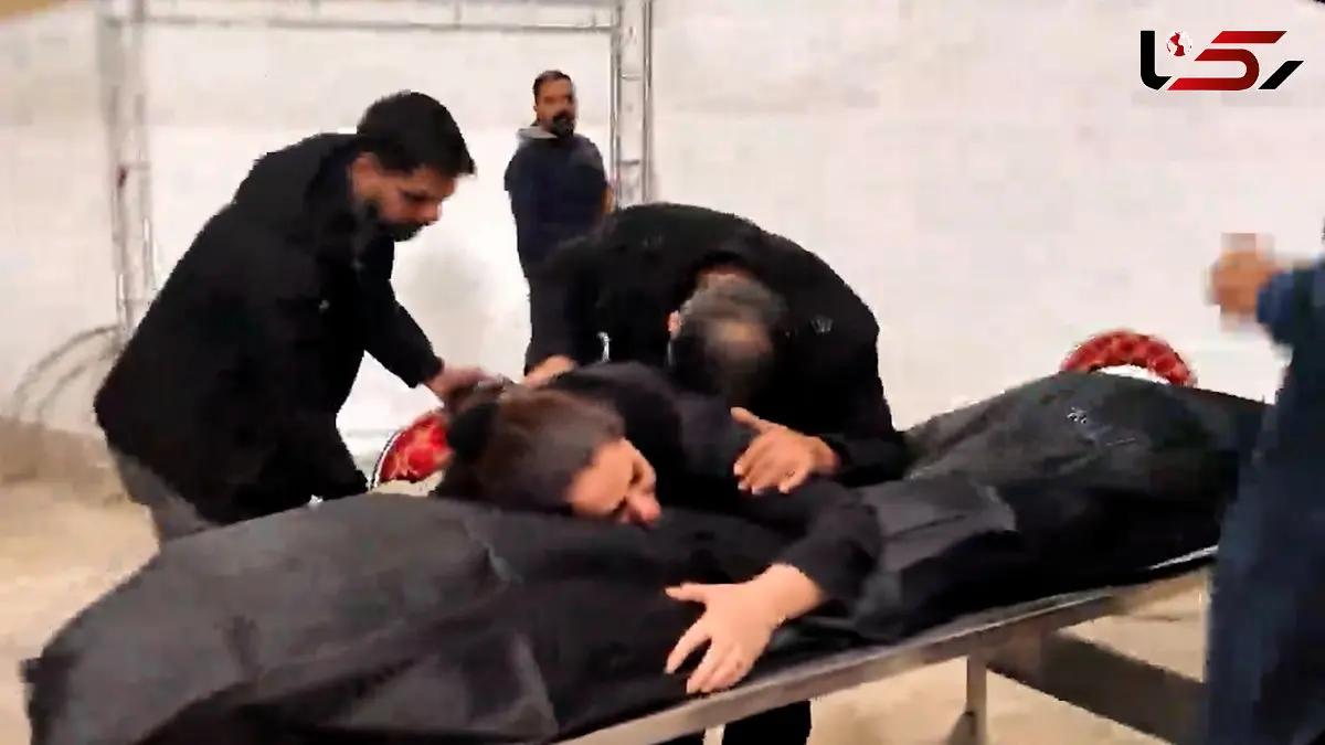 فیلم / پروژه کشته سازی در خیابان های تهران / روایت این خانواده ها را ببیند