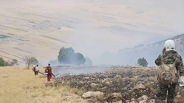 شناسایی عاملان آتش‌سوزی جنگل‌های کوهدشت/ ۵ نفر دستگیر شدند