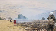 5 آتش‌ افروز مراتع کوهدشت دستگیر شدند