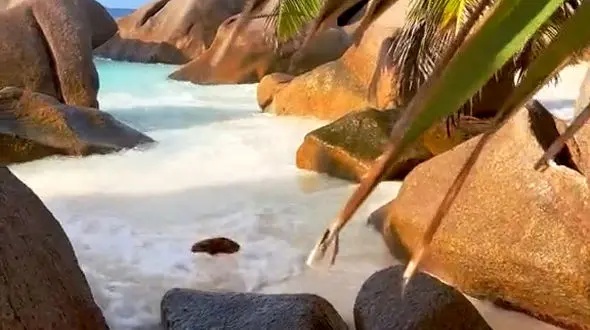 قوی بمانید، حتی زمان های سخت