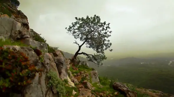 منتشر شد / نماهنگ آرامش بخش با صدای سیروان خسروی + فیلم 