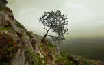 منتشر شد / نماهنگ آرامش بخش با صدای سیروان خسروی + فیلم 