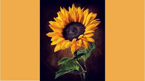 فال ابجد امروز / 16 بهمن ماه + فیلم 