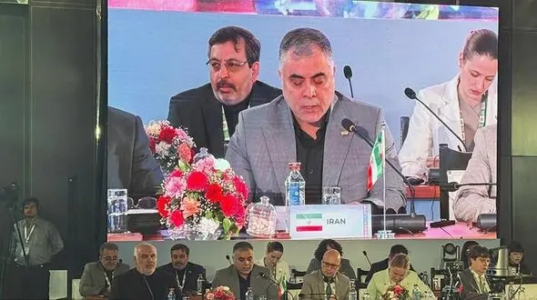 وزیر نفت تاکید کرد: مشارکت اعضای بریکس برای دستیابی به امنیت انرژی
