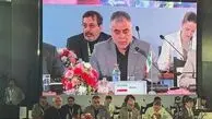 وزیر نفت تاکید کرد: مشارکت اعضای بریکس برای دستیابی به امنیت انرژی