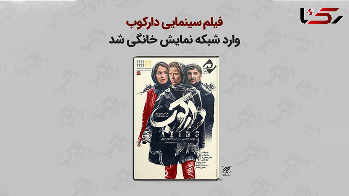 «دارکوب» به شبکه نمایش خانگی رسید