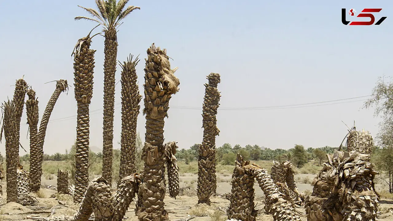 آمار وحشتناک از کاهش بارش ها در سال جاری آبی