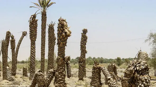 آمار وحشتناک از کاهش بارش ها در سال جاری آبی