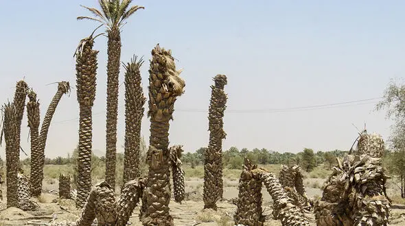 آمار وحشتناک از کاهش بارش ها در سال جاری آبی