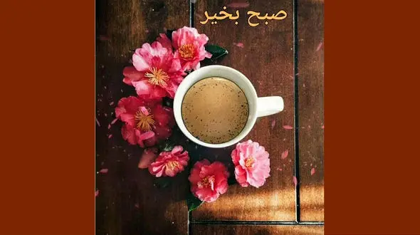 فال روزانه شخصی / اول بهمن ماه + فیلم