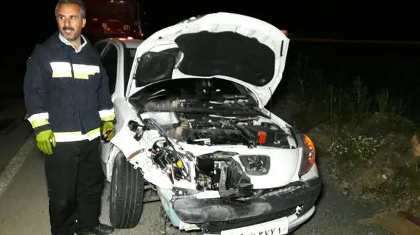 تکه تکه کردن جسد یک حیوان وحشی پس از تصادف با ماشین در دیواندره! / از سوی چند مرد ناشناس صورت گرفت + فیلم و عکس