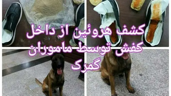 عجیب ترین کفش یک مسافر در مرز بازرگان + عکس 