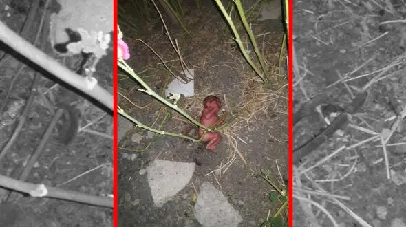 تصویری تلخ از نوزاد دختر رها شده در صالح‌آباد 